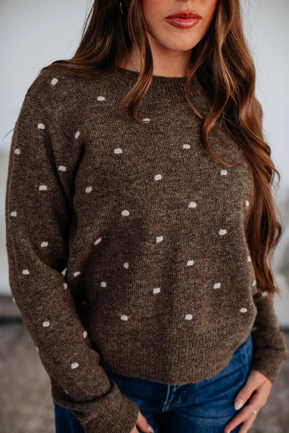 Chestnut Elegant Polka Dot Bubble Short Sleeve Sweater