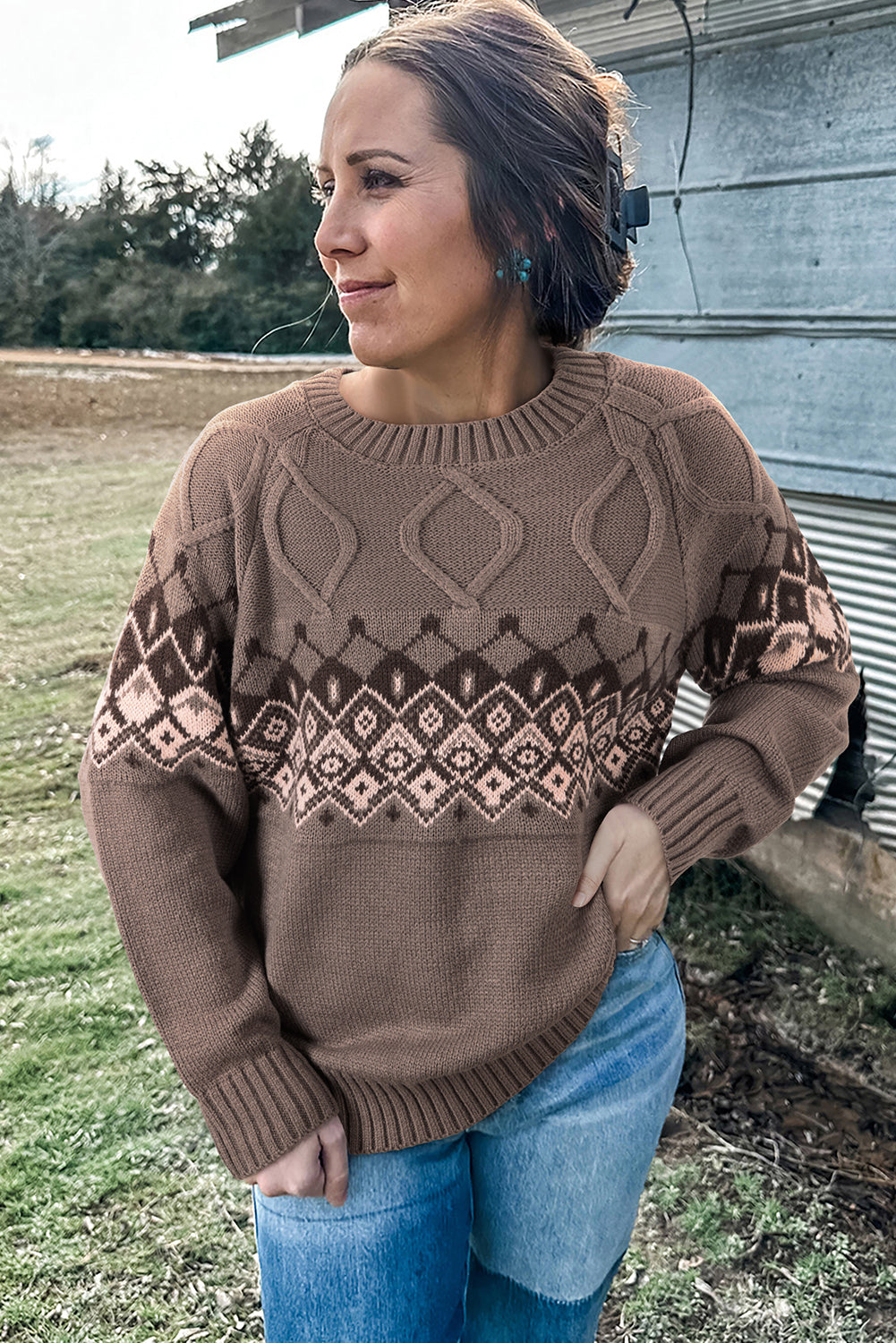 Light French Beige Western Geometric Patterned Crew Neck Knitted Sweater