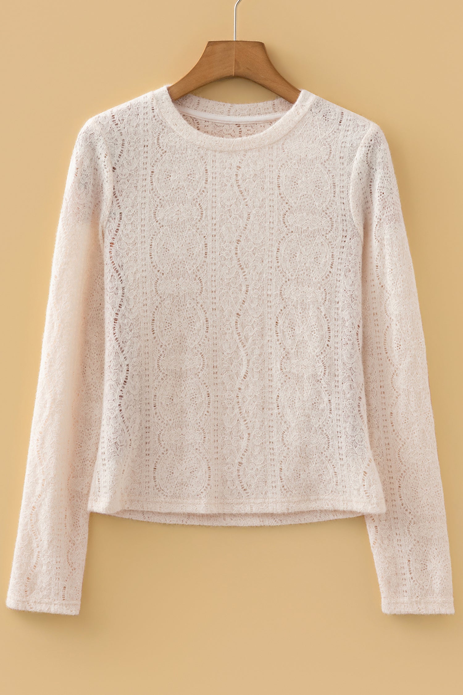Light Pink Semi Sheer Lace Long Sleeve Cropped Top