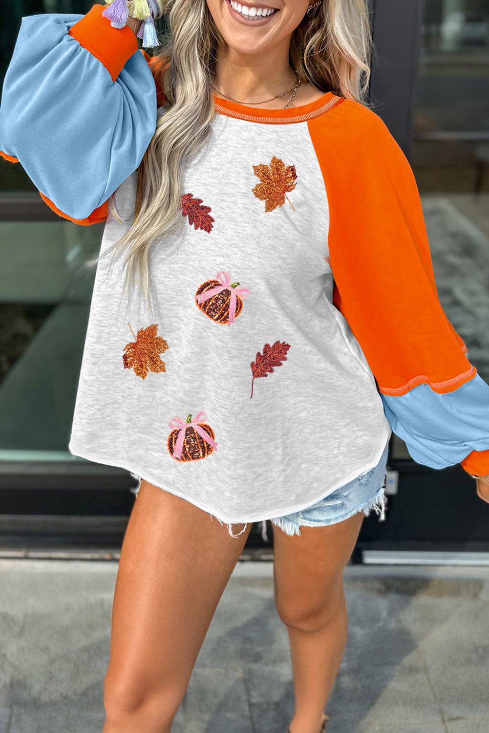 Light Grey Sequin Fall Elements Patched Color Block Patchwork Long Sleeve Loose Top