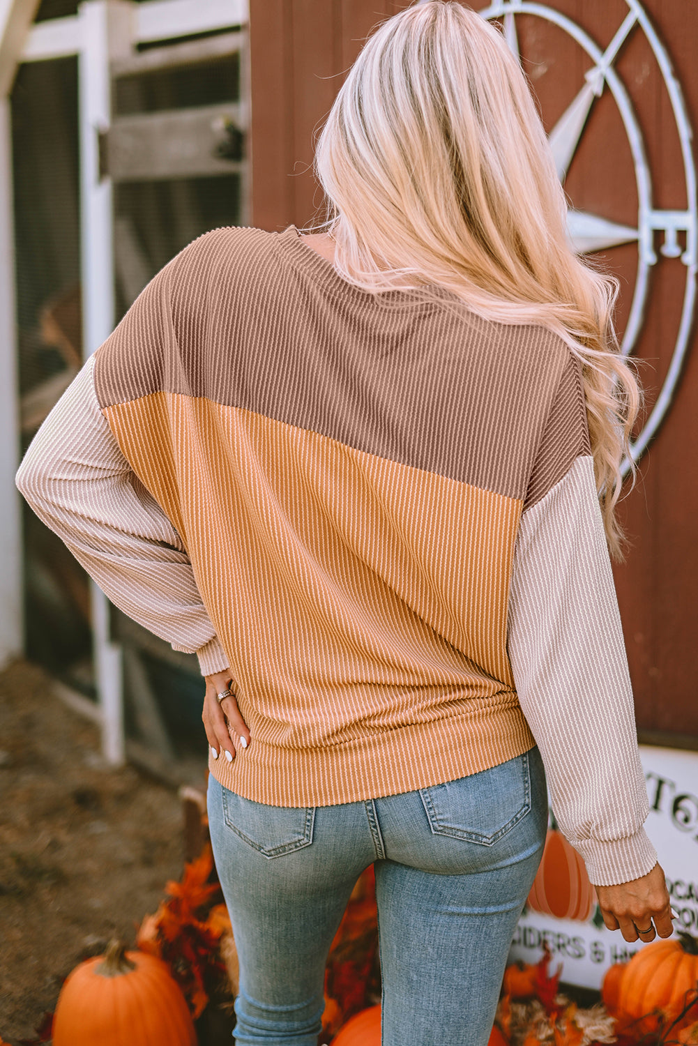 Pale Chestnut Color Block Corded Long Sleeve Top