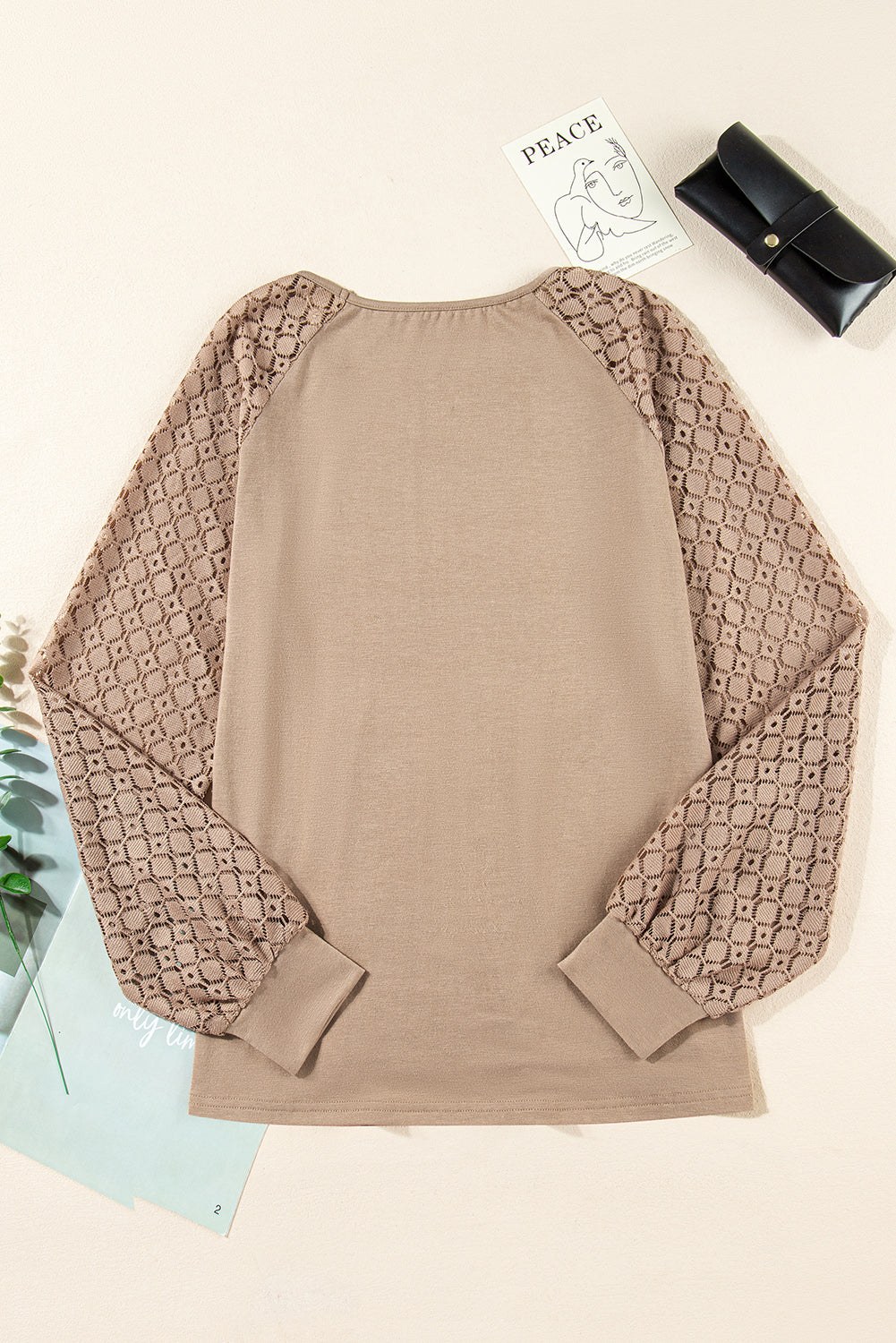 Parchment Lace Patchwork Long Raglan Sleeve Pleated Top
