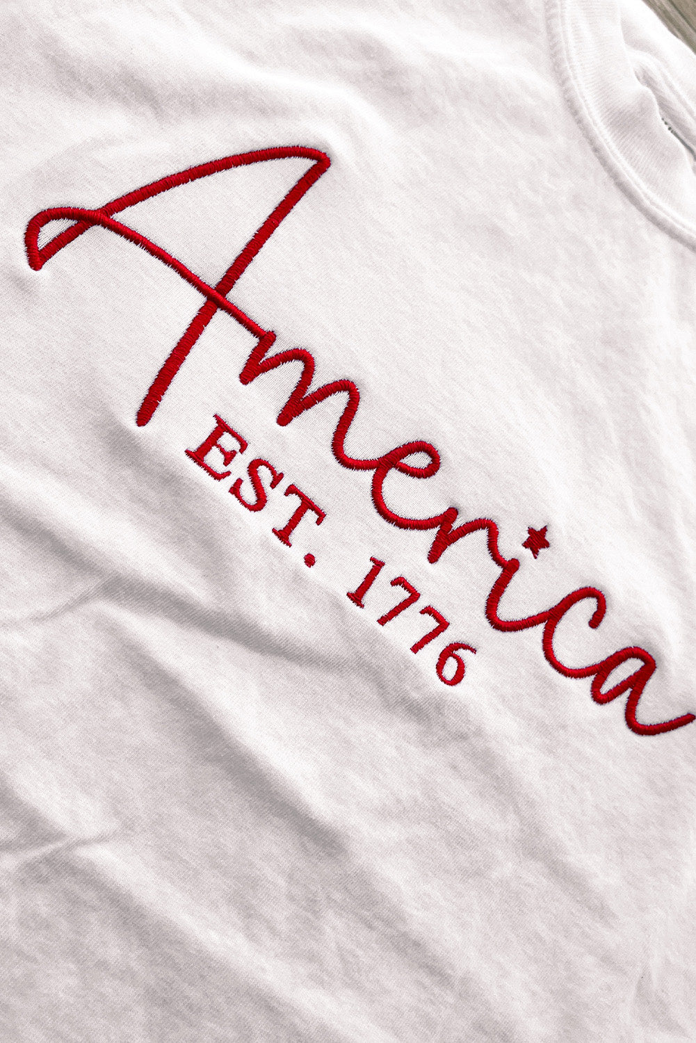 White July 4th Celerbration Bowknot Firework Graphic Tee