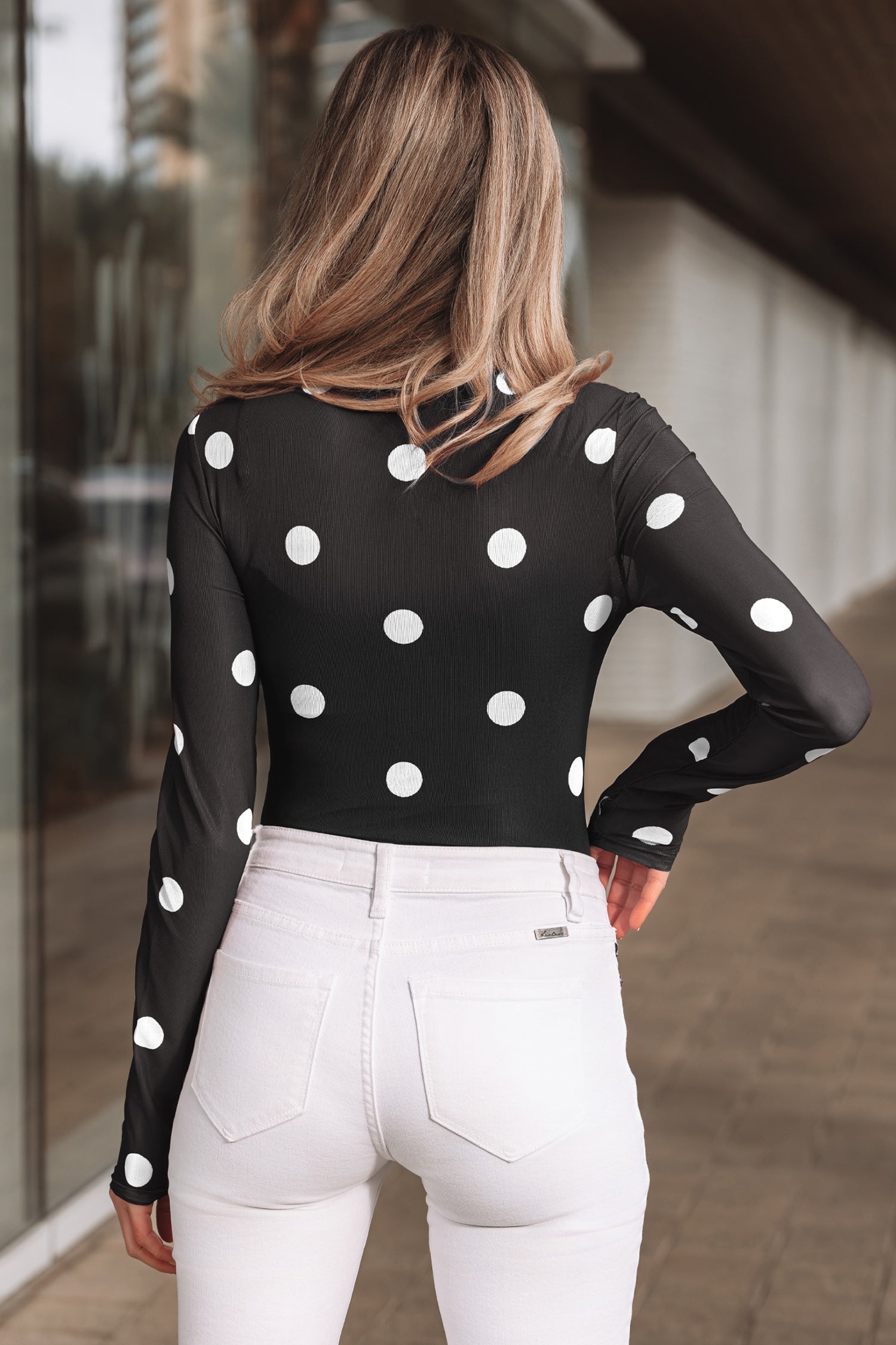 Brown Vintage Polka Dot Print Mesh Long Sleeve Bodysuit